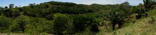 DSCF0434